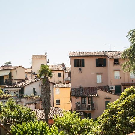 Pollock Attic In Historic City Center Apartment Lucca Ngoại thất bức ảnh